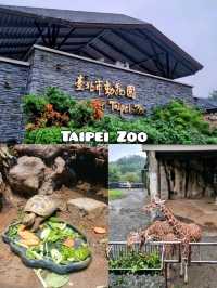 Taipei Zoo 🦓🦒🦚🦡🦘🦛🦙