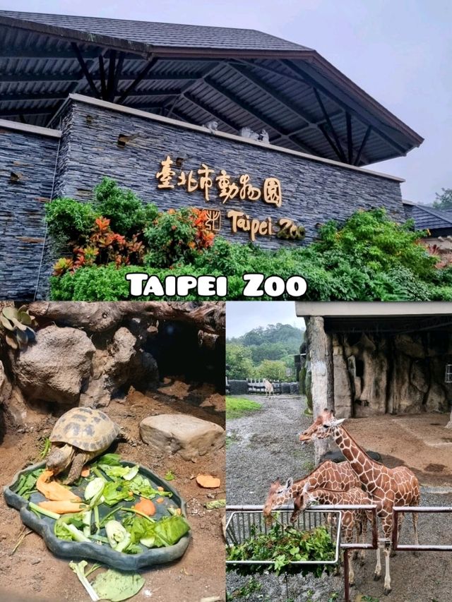 Taipei Zoo 🦓🦒🦚🦡🦘🦛🦙