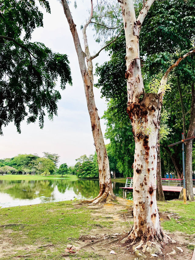 Chill by the Water: Café by the Lake, Cyberjaya’s Hidden Gem