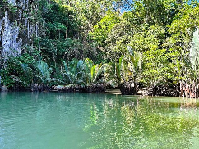 Into the Depths: A Mesmerizing Day at Puerto Princesa’s Underground River