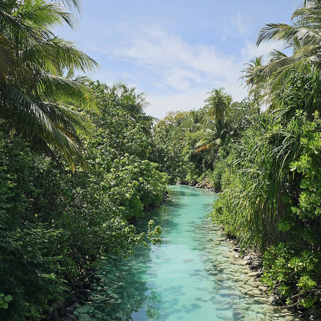 One&Only Reethi Rah