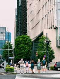 【東京の穴場なオアシス・皇居周辺】  1日じっくり楽しめる、都心の緑と歴史と美味しい時間🌿🍵