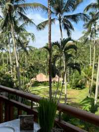 🌞 Pure Joy in the Jungle – Fun & Bliss at Four Seasons Ubud