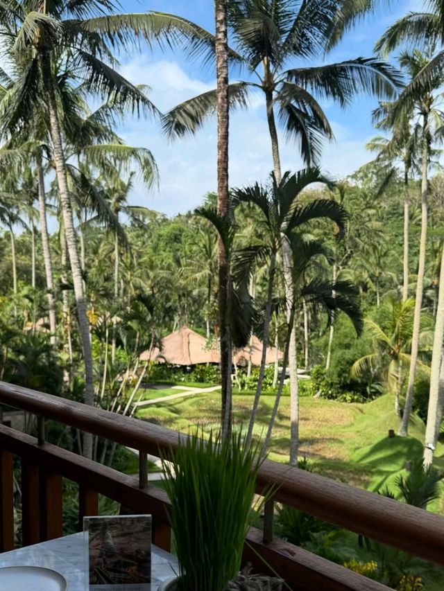 🌞 Pure Joy in the Jungle – Fun & Bliss at Four Seasons Ubud