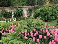 Pashley Manor Gardens – A Timeless English Country Garden