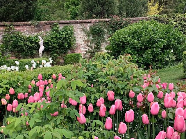 Pashley Manor Gardens – A Timeless English Country Garden