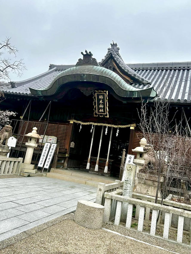 A Slow Day in Akashi – Castles, Calm Parks & Peach Shaved Ice