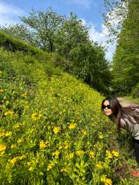Exploring Seoul Forest 🌳🌿🌴🌱🦌: A Green Oasis in the City