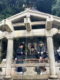 Kiyomizu-dera Temple kyoto 🇯🇵
