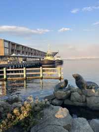Harborside Flavors & History: Why Hobart’s Waterfront Hooks You In