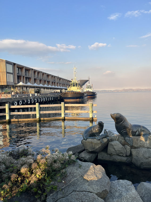 Harborside Flavors & History: Why Hobart’s Waterfront Hooks You In