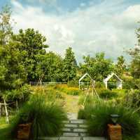 หนีฝน มาถ่ายรูปที่ คาเฟ่ สวนดอกไม้