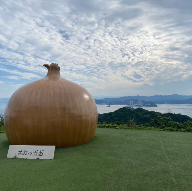 淡路島 ひたすら玉ねぎ🧅