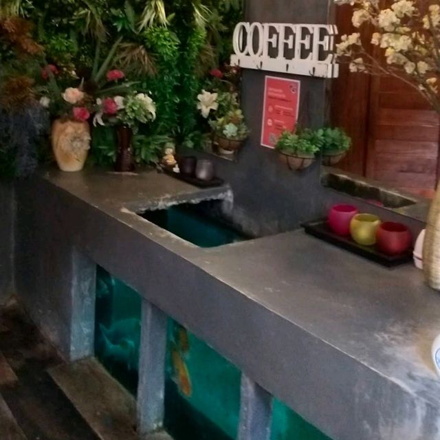 ชมปลาคาร์พ ในคาเฟ่สวย - ที่ คาร์พ คาเฟ่ เชียงใหม่