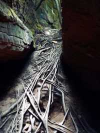ถ้ำนาคี – เปิดประตูสู่ตำนานพญานาคกลางขุนเขา