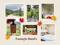 “ดอยช้าง พักใจในสายหมอก หอมกาแฟกลางขุนเขา”