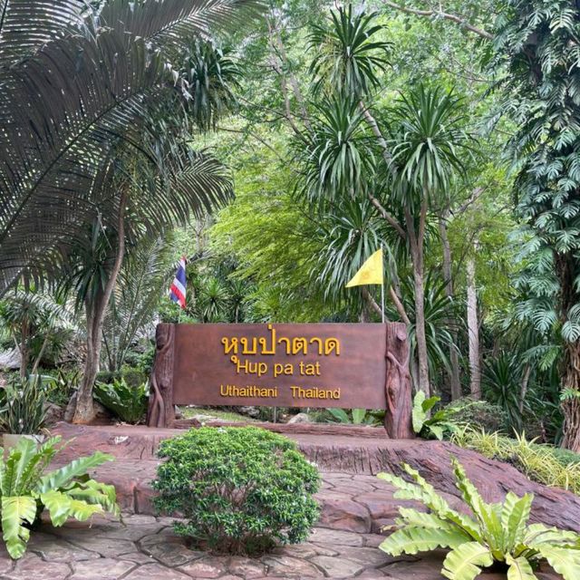 หุบป่าตาด