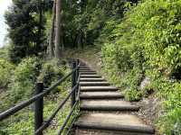 天翔記古城巡禮：津和野城（三本松城）