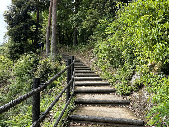 天翔記古城巡禮：津和野城（三本松城）