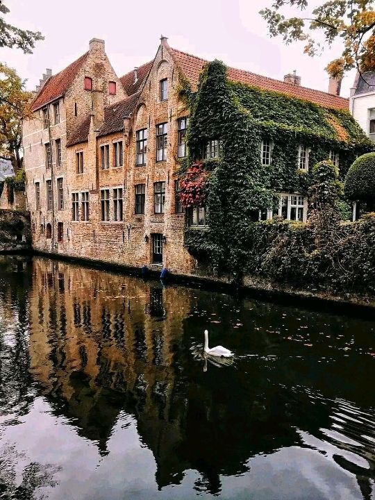 Bruges: Belgium’s Fairytale Canal City