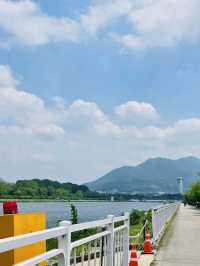 A Refreshing Escape to Misa lake Park (미사경정공원)