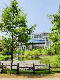 A Rosy Walk to Work: My Thoughts on Siggak Park (No. 3 Neighborhood Park)