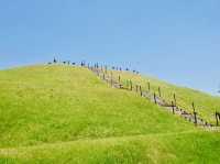The Ōyasuba Kofun
