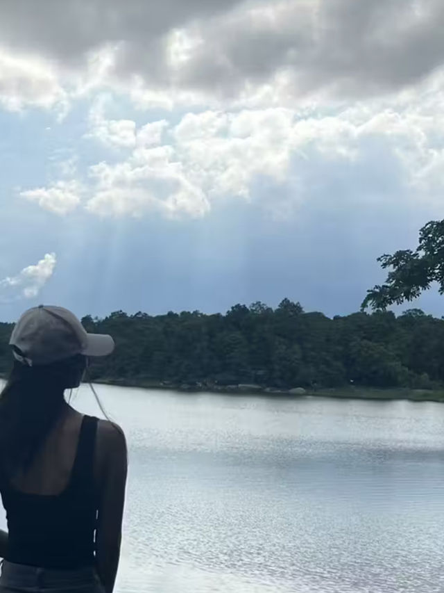 ที่เที่ยวสกลนคร อุทยานภูผายล🌳
