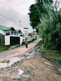 🇱🇰スリランカ ヌワラエリヤ　Silver Meir Holiday Bungalow