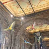 Natural History Museum, London