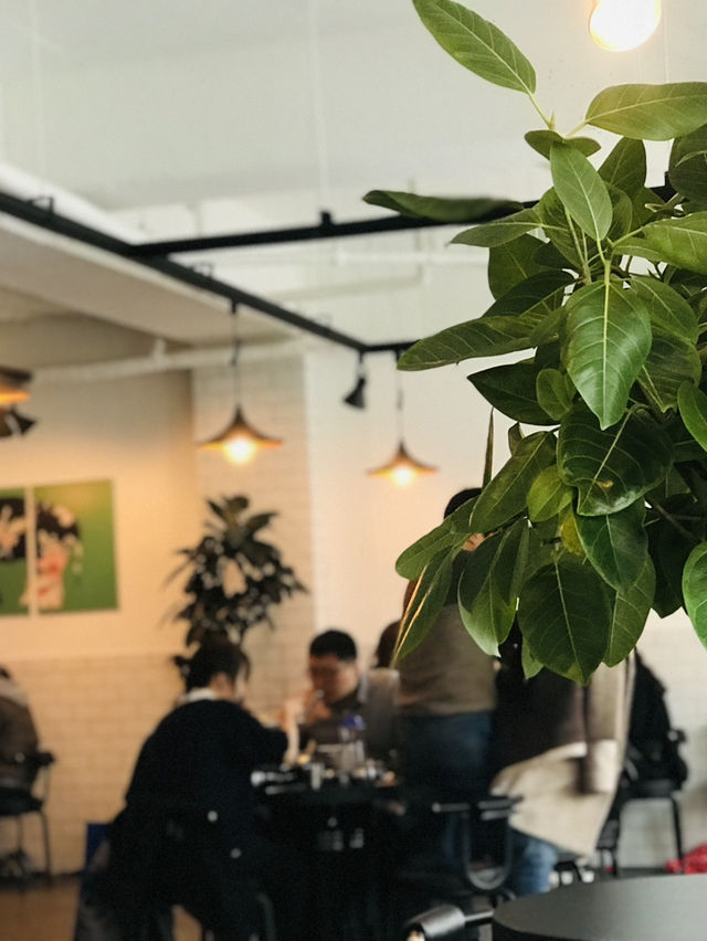 대전 갑천 벚꽃 명소 보고 닭도리탕으로 하루 마무리🥘