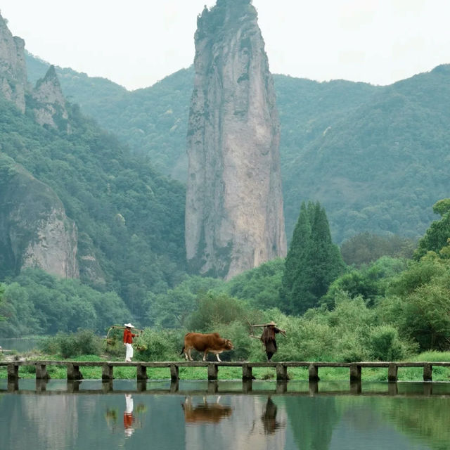 🌿 縉雲仙都 | 被滿屏綠意治癒的24小時