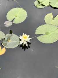 삿포로는 여름에 가야해요🍃