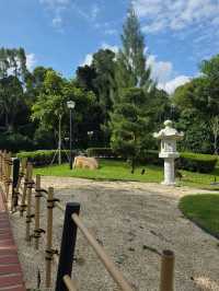 McDo Meets Tranquility: A Bite at Ridout Tea Garden, Singapore