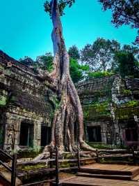 Ta prohm as tomb raider temple 