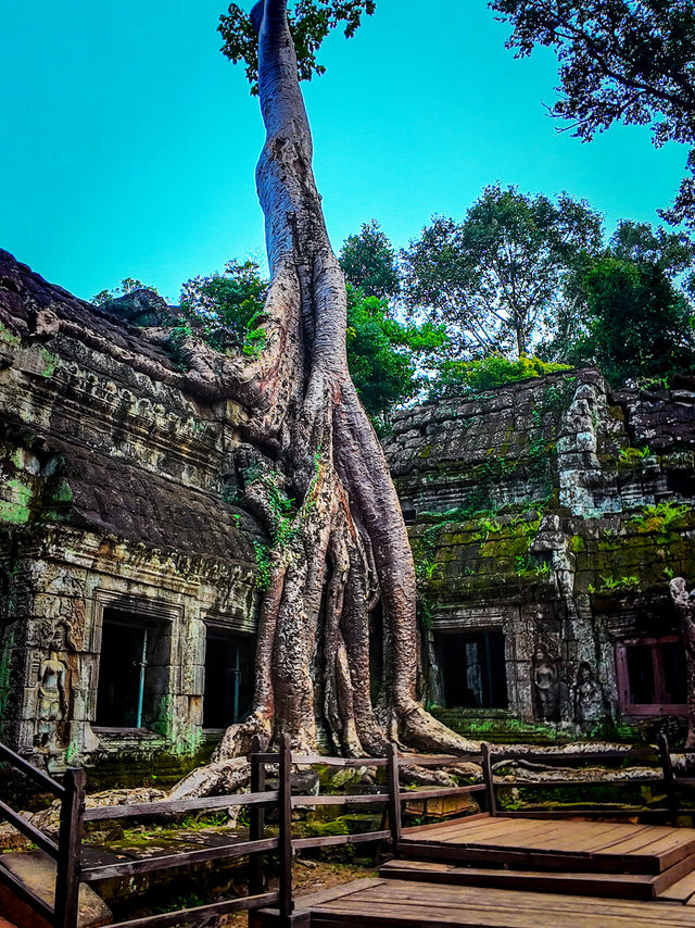 Ta prohm as tomb raider temple 