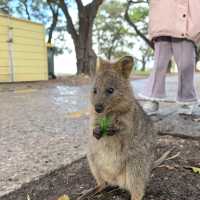 🇦🇺 Western Australia | If You Can Only Visit ONE Spot…