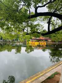 🌸 A Bloom-Filled Getaway to China’s Eternal Spring City🌸