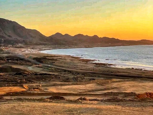 Pan de Azúcar National Park – Chile’s Desert Meets the Ocean