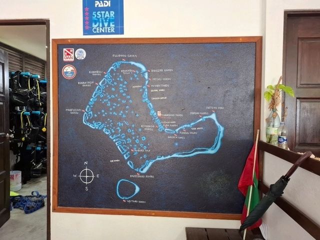 🦈鯊魚蜂擁而至的酒店 Plumeria Maldives 🩵🩵