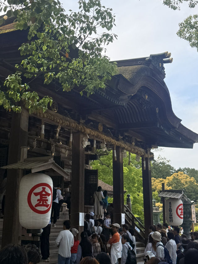 香川｜千階樓梯挑戰的金刀比羅宮 與金比羅犬有趣歷史