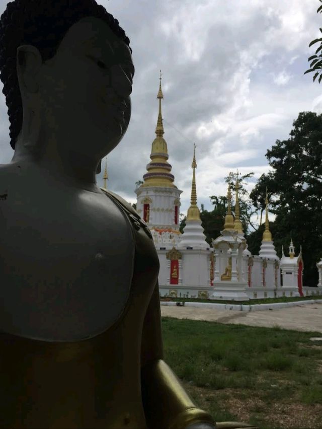 "วัดแม่ทาน" 