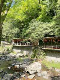 【大阪箕面】新緑の時期に箕面の滝を満喫🌿