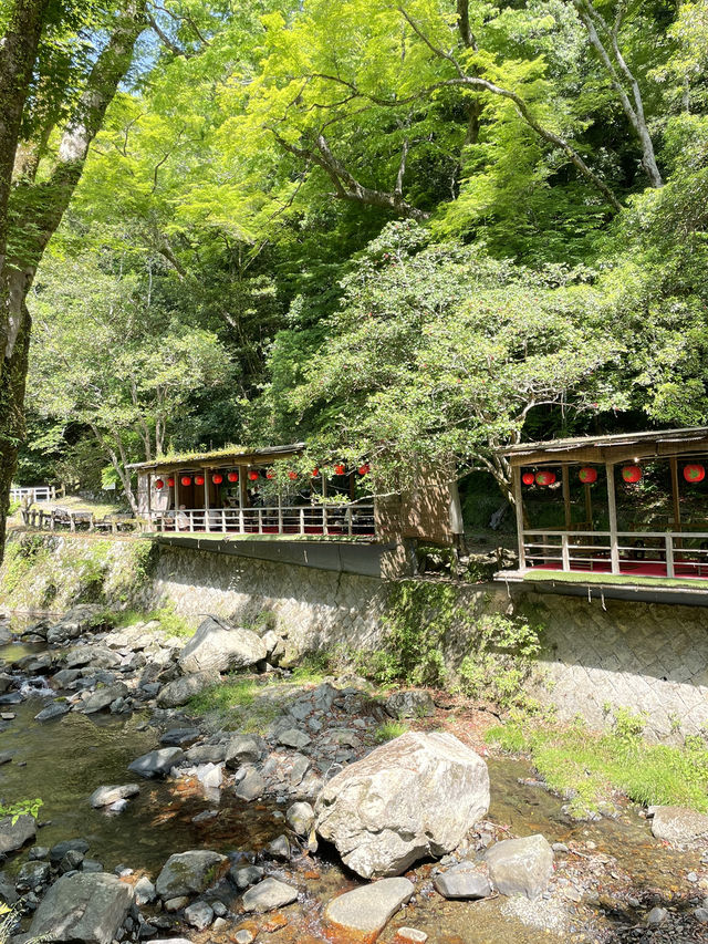 【大阪箕面】新緑の時期に箕面の滝を満喫🌿