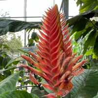 Step into a Living Museum: Basel’s Historic Botanical Garden in Summer