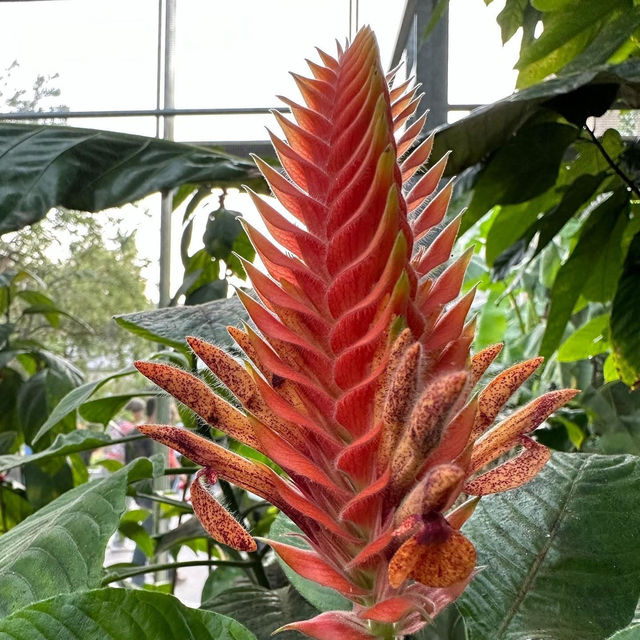 Step into a Living Museum: Basel’s Historic Botanical Garden in Summer