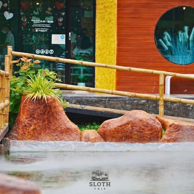 💥 The Nature Cafe
