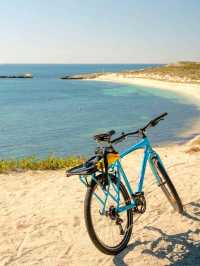 🏝️ Rottnest Island – Perth’s Tropical Paradise Just a Ferry Away! 🐾🌊☀️