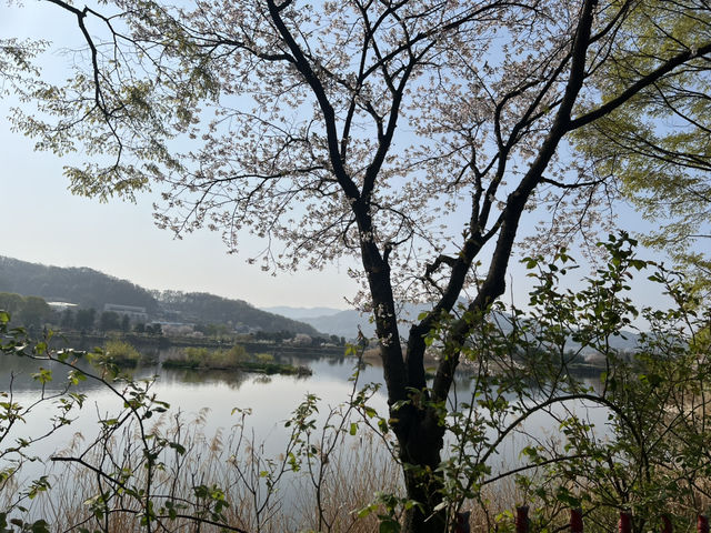 아산 신정호