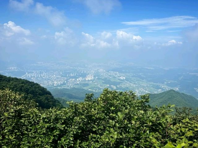 Trees, Chill Vibes, and Unexpected Wow